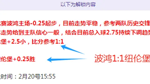 新疆国际赛事训练营汇聚，友谊与竞技同辉